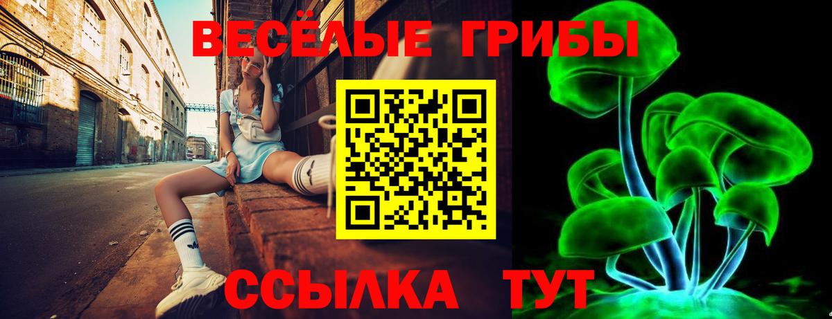 Галлюциногенные грибы Cubensis Алексеевка