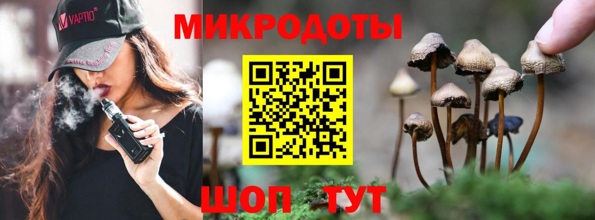 Псилоцибиновые грибы мицелий  Вход с VPN  Алексеевка 