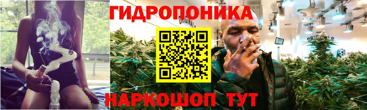 Алексеевка  Шишки марихуана White Widow  Марихуана THC 21%  Марихуана конопля  Вход с VPN 